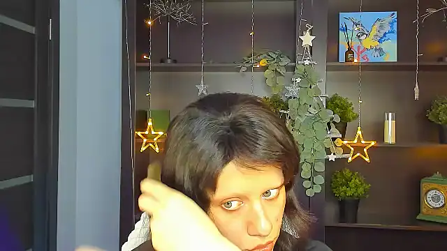 LidaDarknet webcam