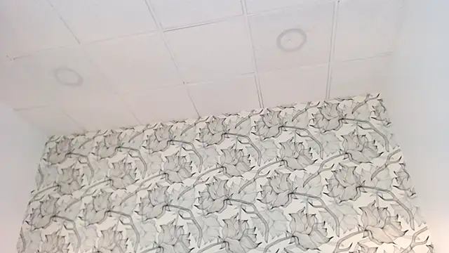 Venusandrea29 webcam