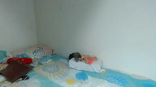 Agatha_browser webcam