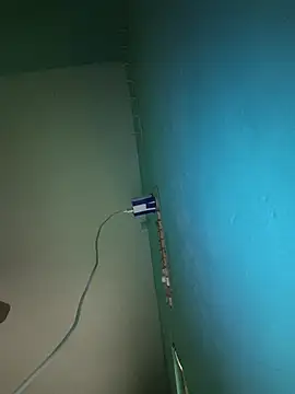Villageanuty webcam