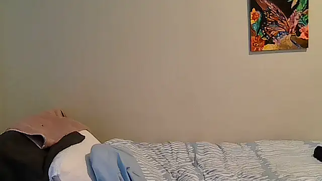 belgianshantie webcam