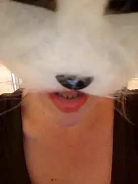 SPrITZMAUS webcam
