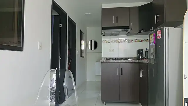 grey___27 webcam