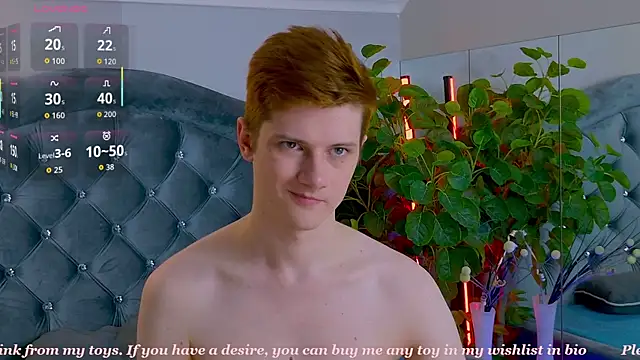 Allert_ webcam