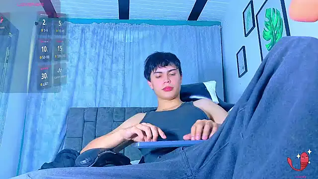 Dantekent webcam