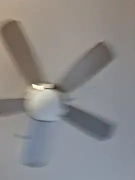 SpiderRose444 webcam