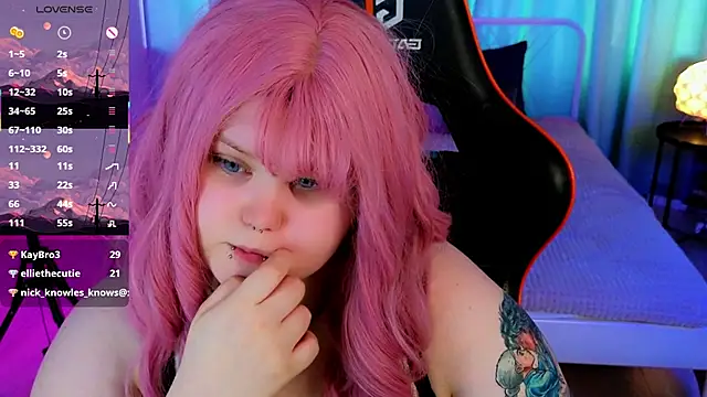 fillisfox_ webcam