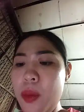 __Halen__ webcam