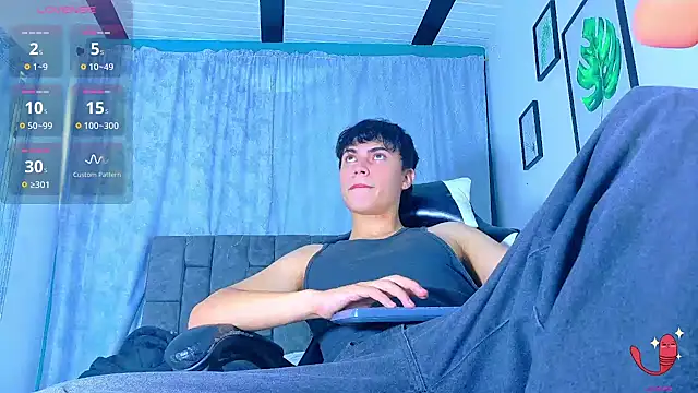 Dantekent webcam