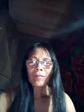 toyo_668 webcam