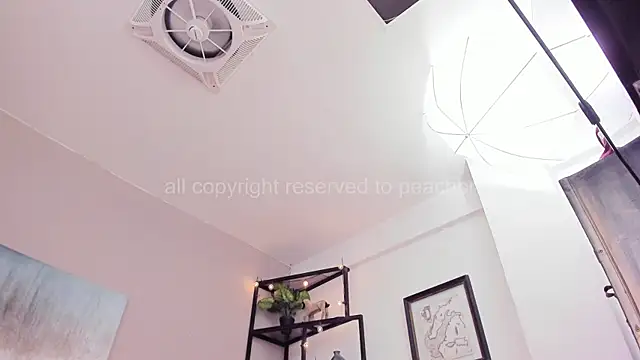 PechBri webcam