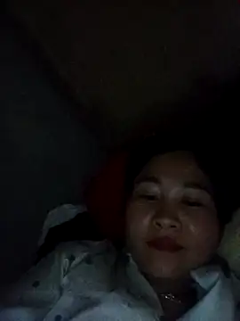 Dunk-namic webcam