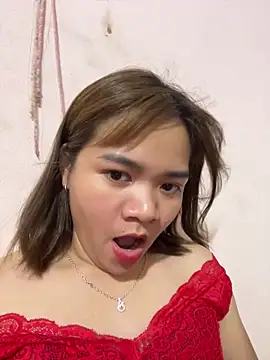AYW-19 webcam
