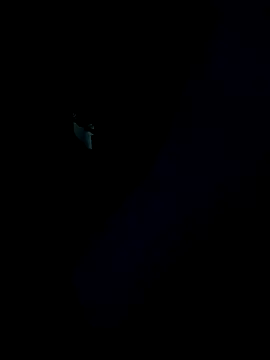 crazycam619 webcam