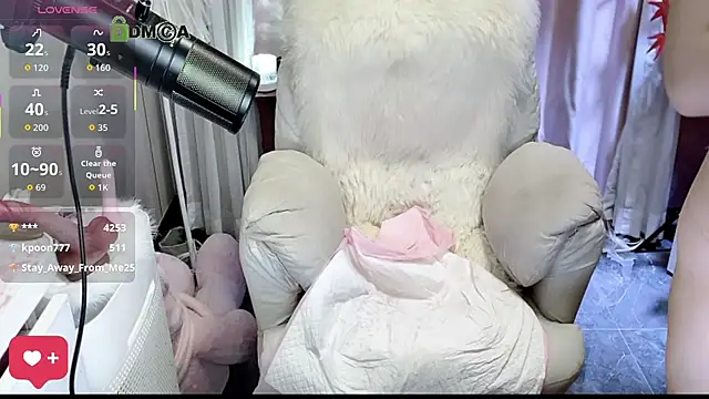 Nni166 webcam
