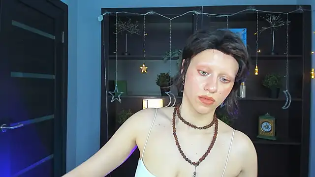 LidaDarknet webcam