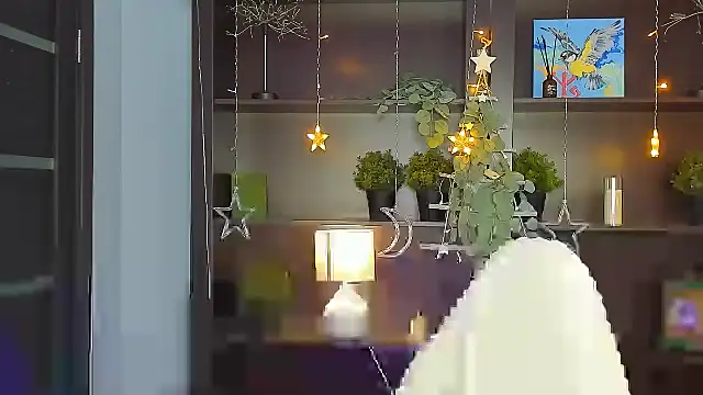 LidaDarknet webcam