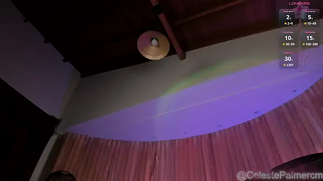 CelestePalmer_ webcam