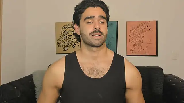 Brad_Martin webcam