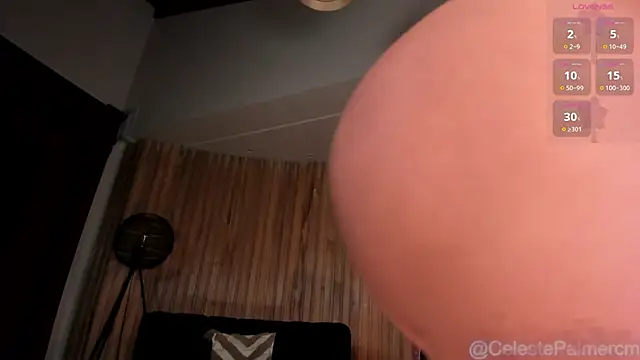 CelestePalmer_ webcam