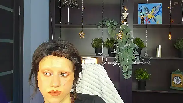 LidaDarknet webcam