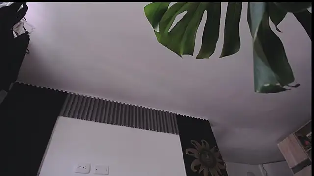 Santiago_kiler webcam