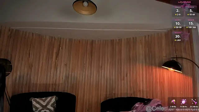 CelestePalmer_ webcam
