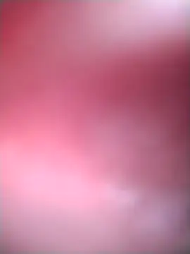 Andriofilit webcam