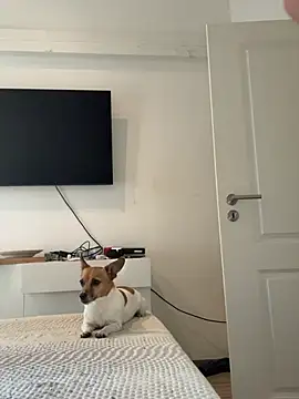 Gipsyboysteve webcam