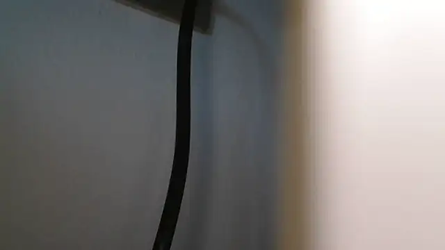 Lynceus webcam