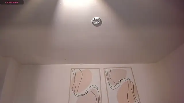 DemiNova webcam