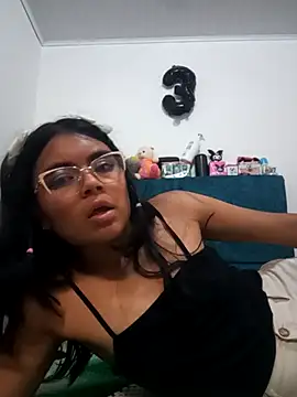 VaneMoon webcam