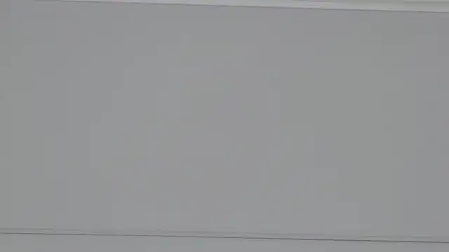 ArianaMilss