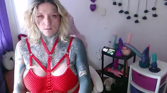 SLOPPYTITSS webcam