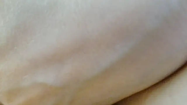 sonyx webcam
