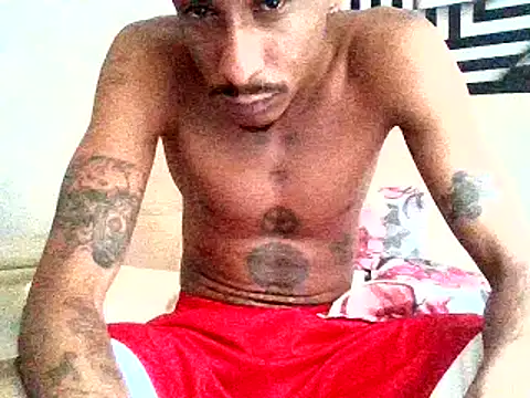 mellow_smoke webcam