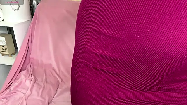 AvroraDisney webcam