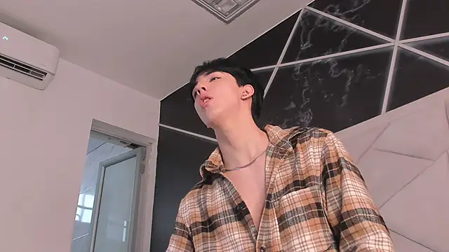 AerumChae webcam