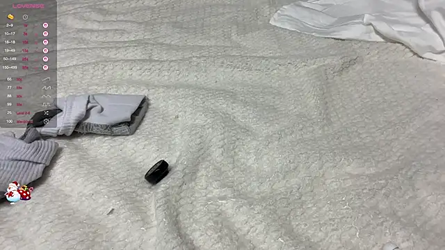 tinykisa webcam
