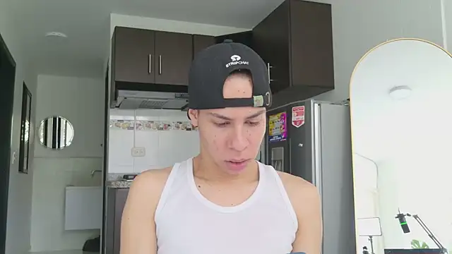 grey___27 webcam