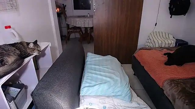 yselahot webcam