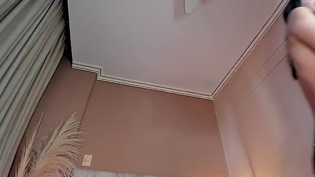 ValkaVega webcam