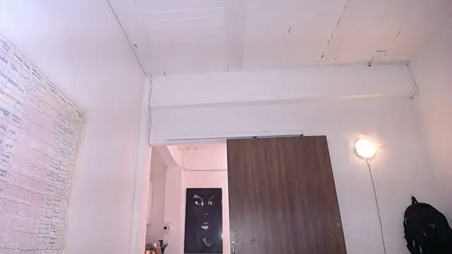 yselahot webcam