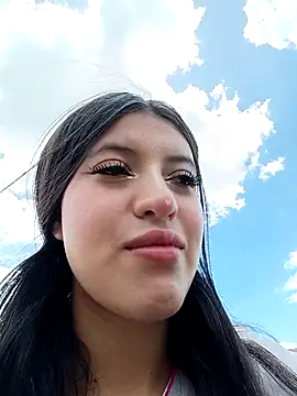 SALOME-28_ webcam
