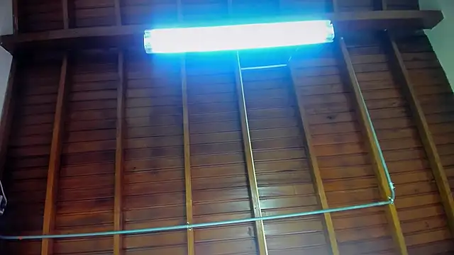 niicole_garner webcam
