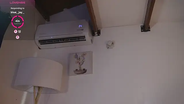 bunnycuteshy webcam