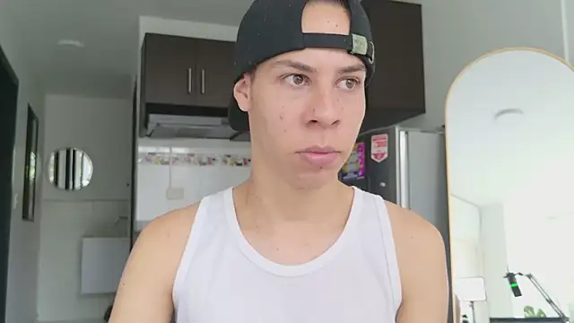 grey___27 webcam
