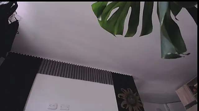 Santiago_kiler webcam