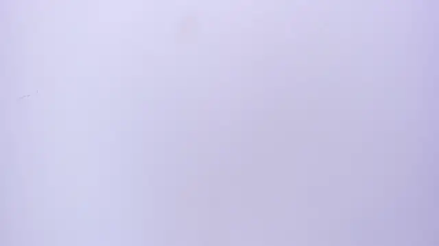 VIOLET_19XXX webcam