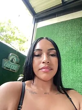 MaverickGray webcam